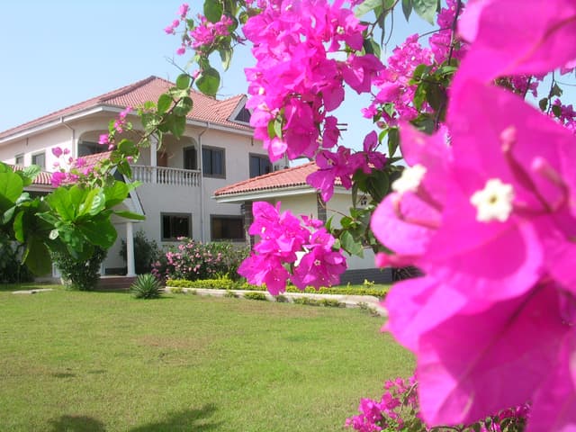 h11.JPG