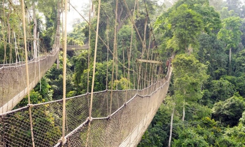 Akwaaba Package